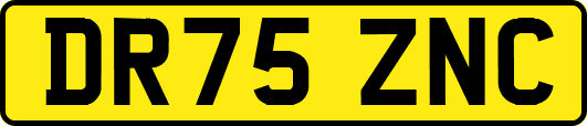 DR75ZNC