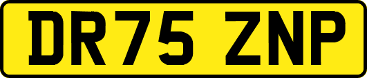 DR75ZNP