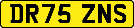 DR75ZNS