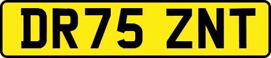 DR75ZNT