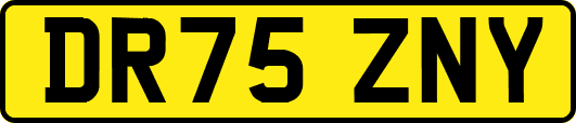DR75ZNY