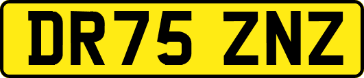 DR75ZNZ