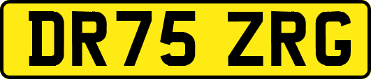 DR75ZRG