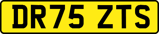 DR75ZTS