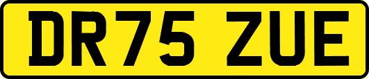 DR75ZUE
