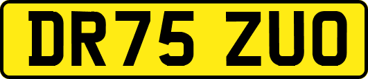 DR75ZUO