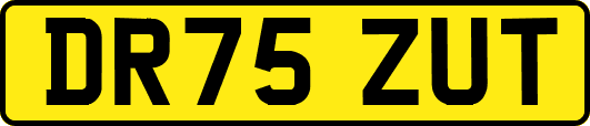 DR75ZUT