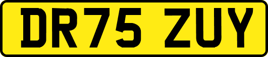 DR75ZUY