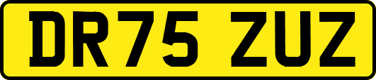 DR75ZUZ