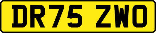 DR75ZWO