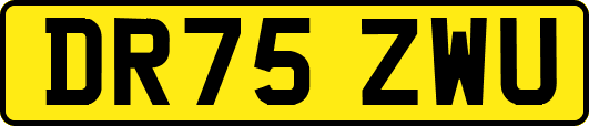 DR75ZWU