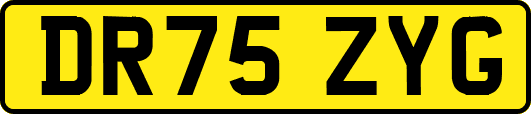 DR75ZYG