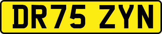 DR75ZYN