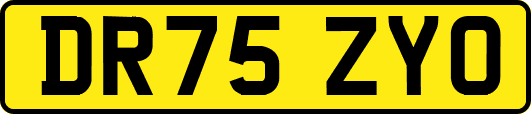 DR75ZYO