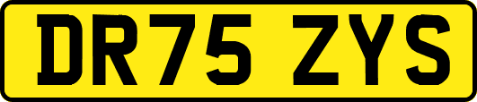 DR75ZYS