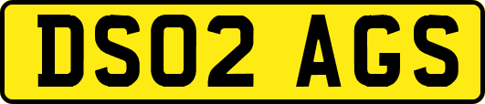 DS02AGS
