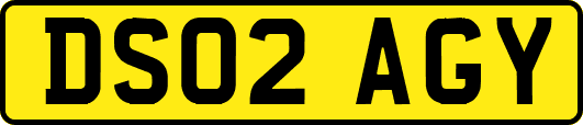 DS02AGY