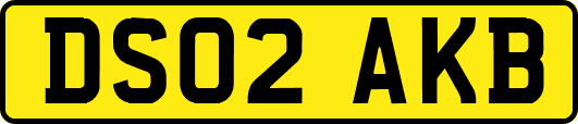 DS02AKB