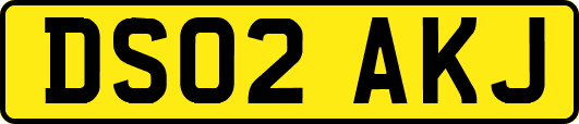 DS02AKJ