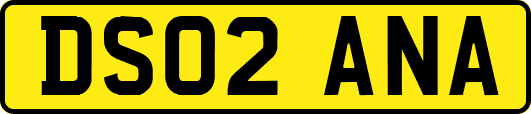 DS02ANA
