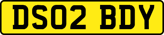 DS02BDY