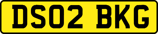 DS02BKG
