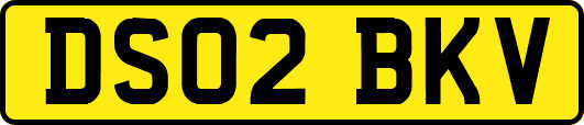 DS02BKV
