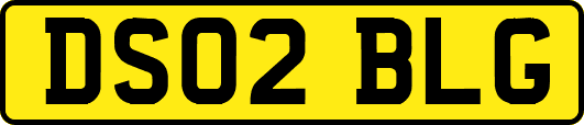 DS02BLG