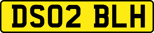 DS02BLH