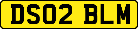 DS02BLM