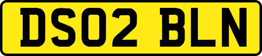 DS02BLN