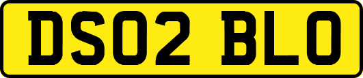 DS02BLO