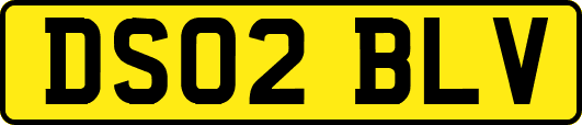 DS02BLV