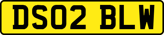 DS02BLW