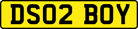 DS02BOY