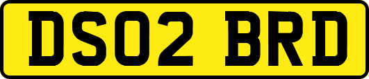 DS02BRD
