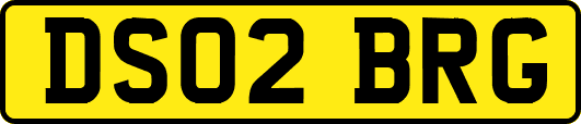 DS02BRG