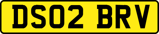 DS02BRV