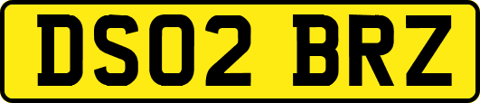 DS02BRZ