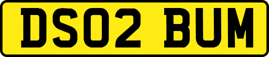 DS02BUM