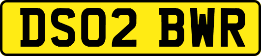 DS02BWR