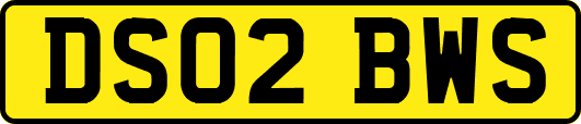 DS02BWS