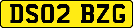 DS02BZG