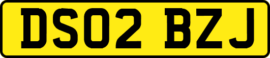 DS02BZJ