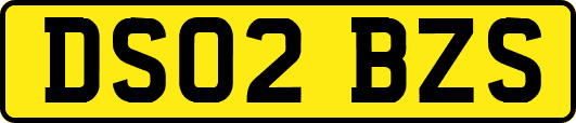 DS02BZS