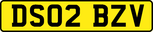 DS02BZV