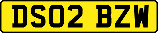 DS02BZW