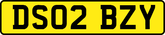 DS02BZY