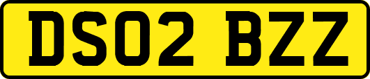 DS02BZZ