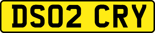 DS02CRY